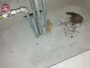 高淳卫生间测漏水价格明细