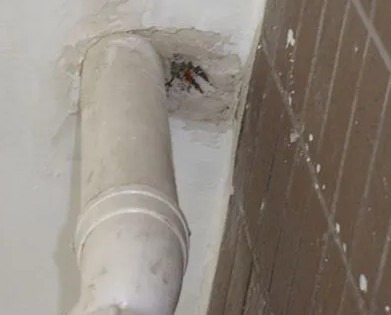 高淳漏水检测哪家好